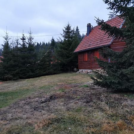 Vila Tijana Mitrovac Eksteriør billede