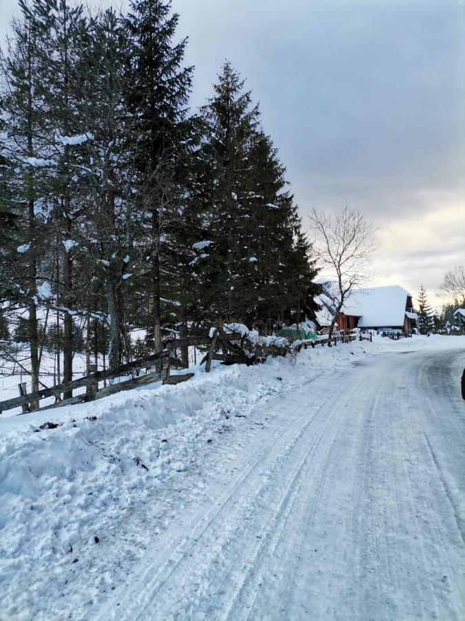 Vila Tijana Mitrovac Eksteriør billede